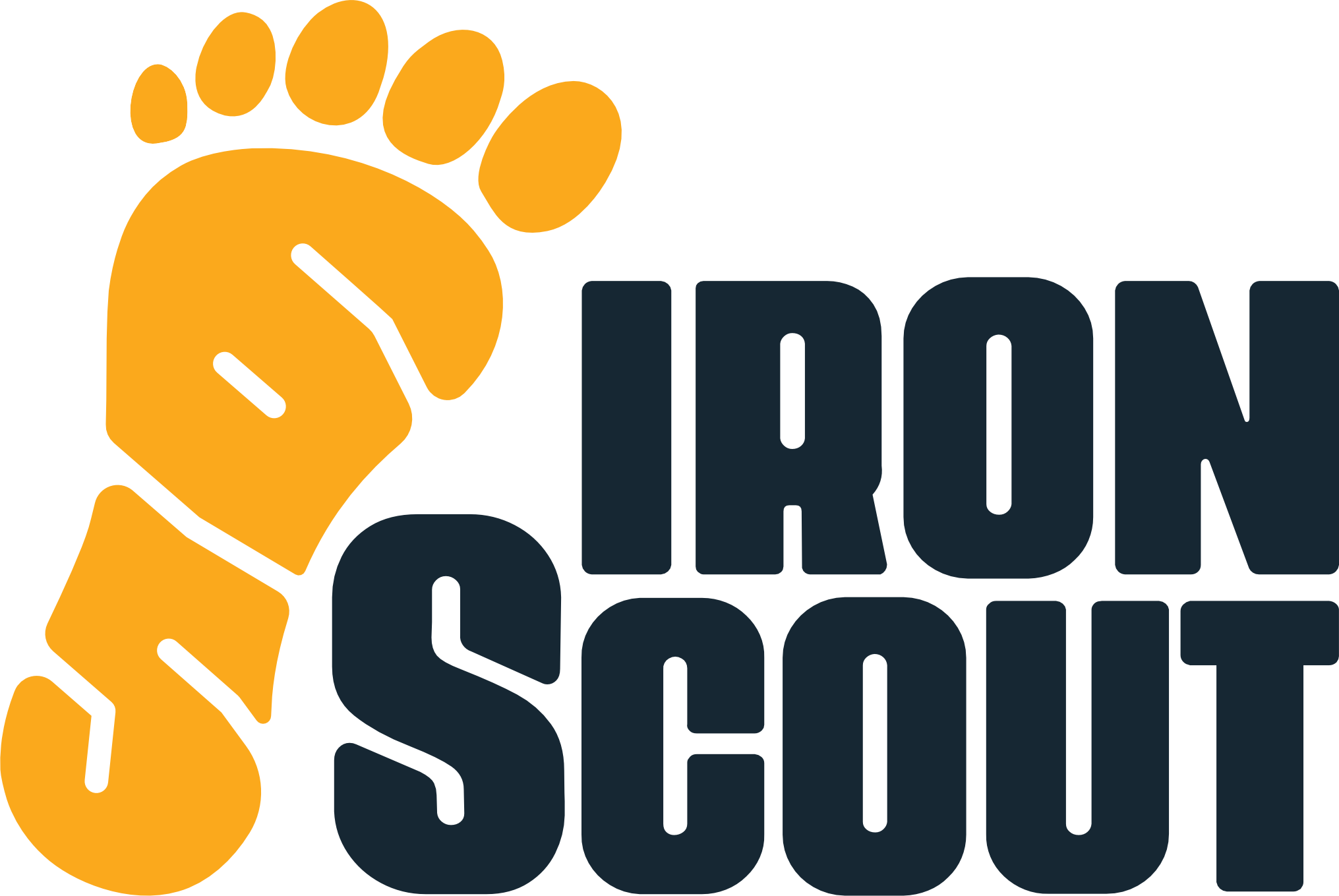 LGS – Ironscout